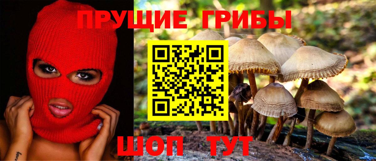 Галлюциногенные грибы Psilocybe  Вход с VPN  Лесозаводск 