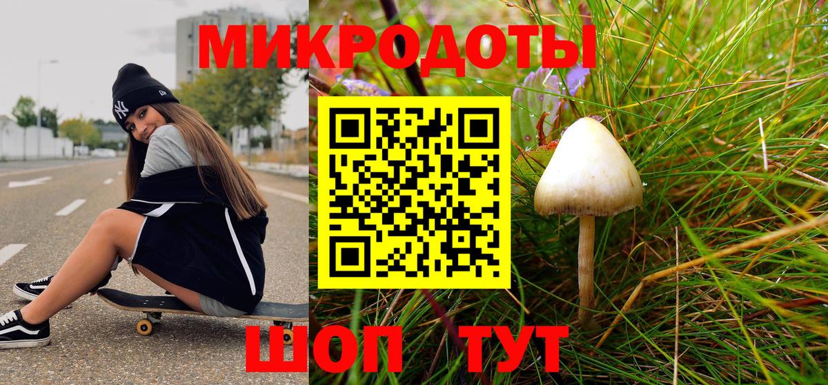 Псилоцибиновые грибы Cubensis Лесозаводск