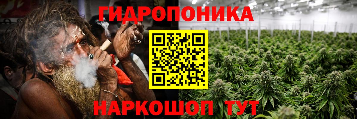 Шишки марихуана план Лесозаводск